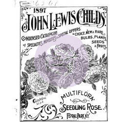 IOD Décor Transfers: Rub Seed (11"x14")