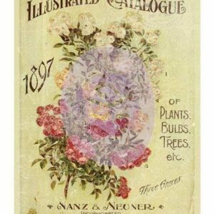 Decor Transfer 11"x14" - Nanz Neuner