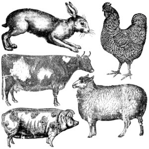 FARM ANIMALS 12X12 DECOR STAMP™
