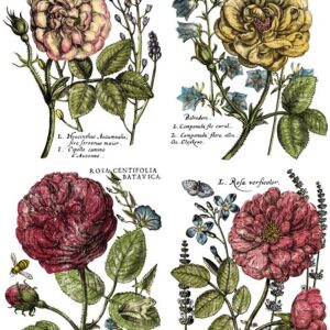 LADIES IN WAITING 24X33 DECOR TRANSFER™