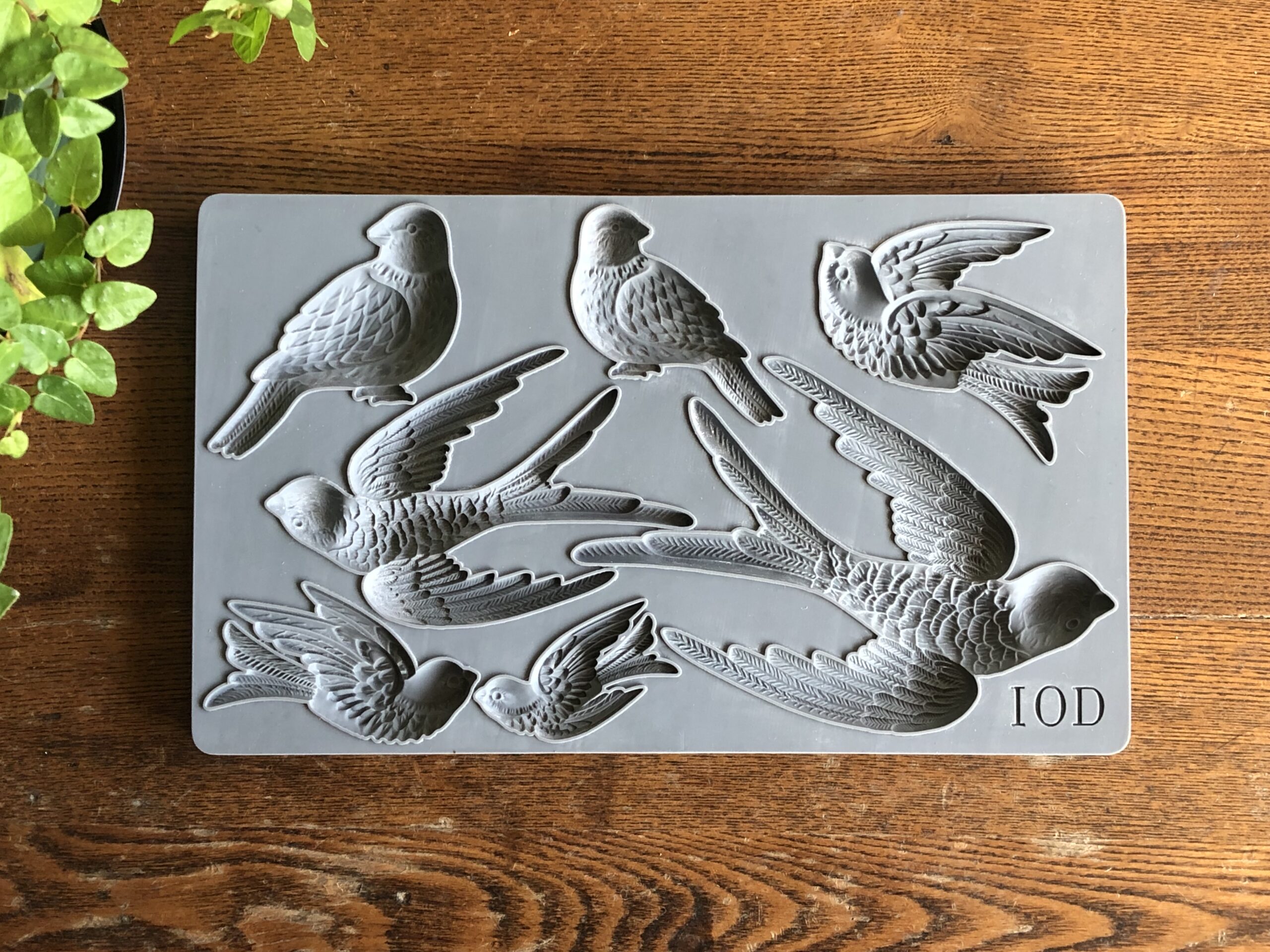 BIRDSONG 6×10 DECOR MOULDS™