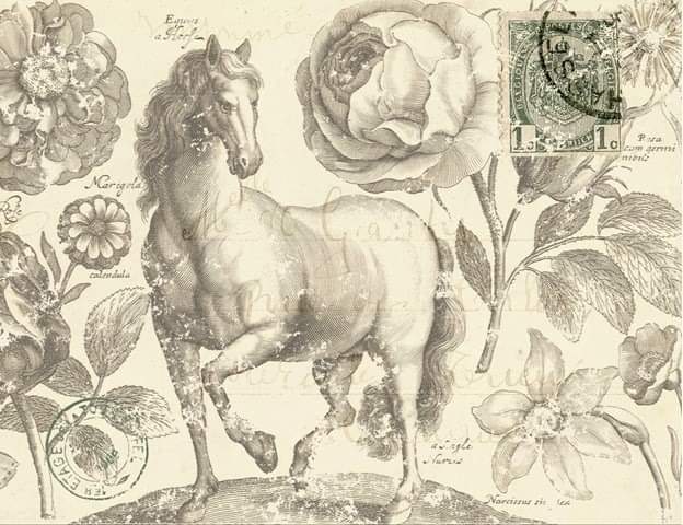 Botanical Equine Roycycled Decoupage Paper