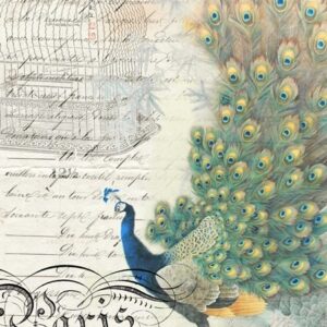 Peacock Ephemera Right