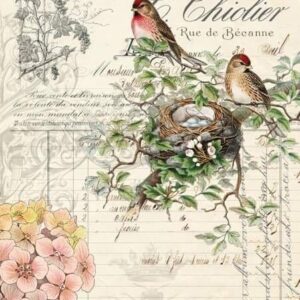 Bird Ephemera Roycycled Decoupage Paper