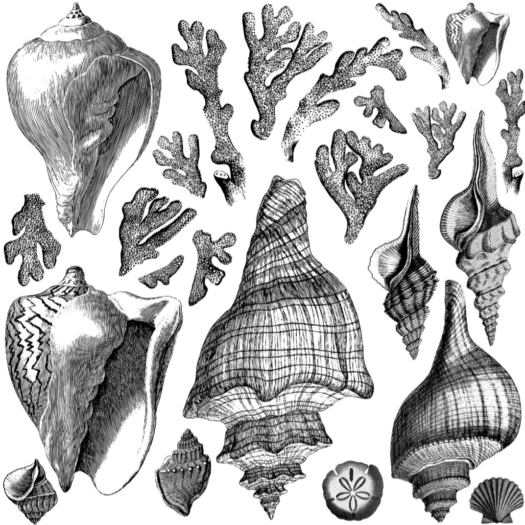 SEASHORE 12×12 IOD STAMP™ - Image 2
