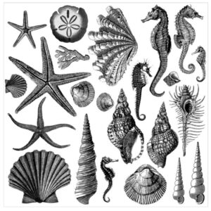 SEASHORE 12×12 IOD STAMP™