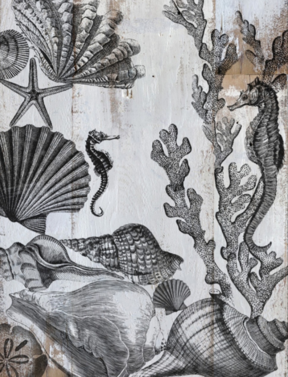 SEASHORE 12×12 IOD STAMP™ - Image 3