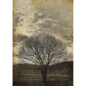 Lone Sepia Tree 24 x 33 inches