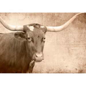 Texas Longhorn 11 x 17 inches Mint Decoupage Paper