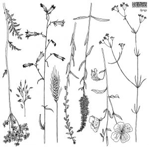 Sprigs 12×12 IOD Stamp™