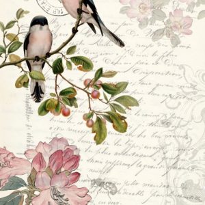 Roycycled Decoupage Tissue Paper- Spring Bird