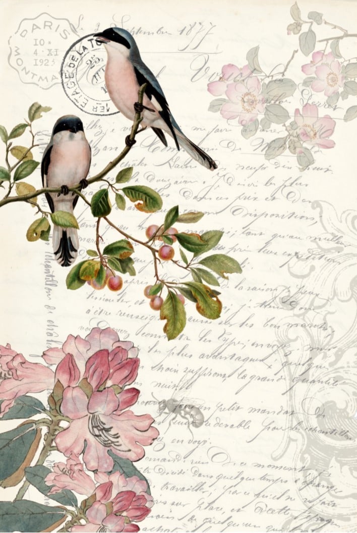 Roycycled Decoupage Tissue Paper- Spring Bird
