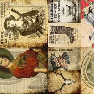 Cowgirls Blocks Roycycled Treasures Decoupage Tissue Paper