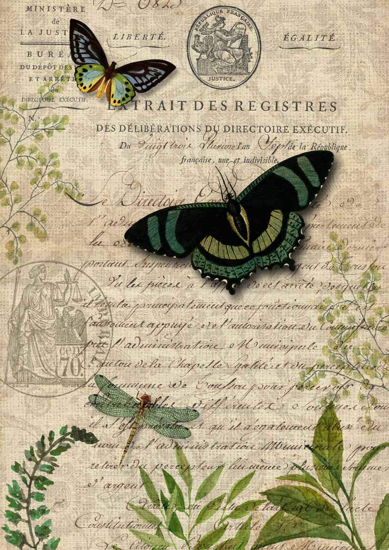 Butterfly Botanical A3 11.7" x 16.5"