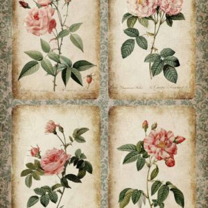 Rose Cards A4 8.3" x 11.7"