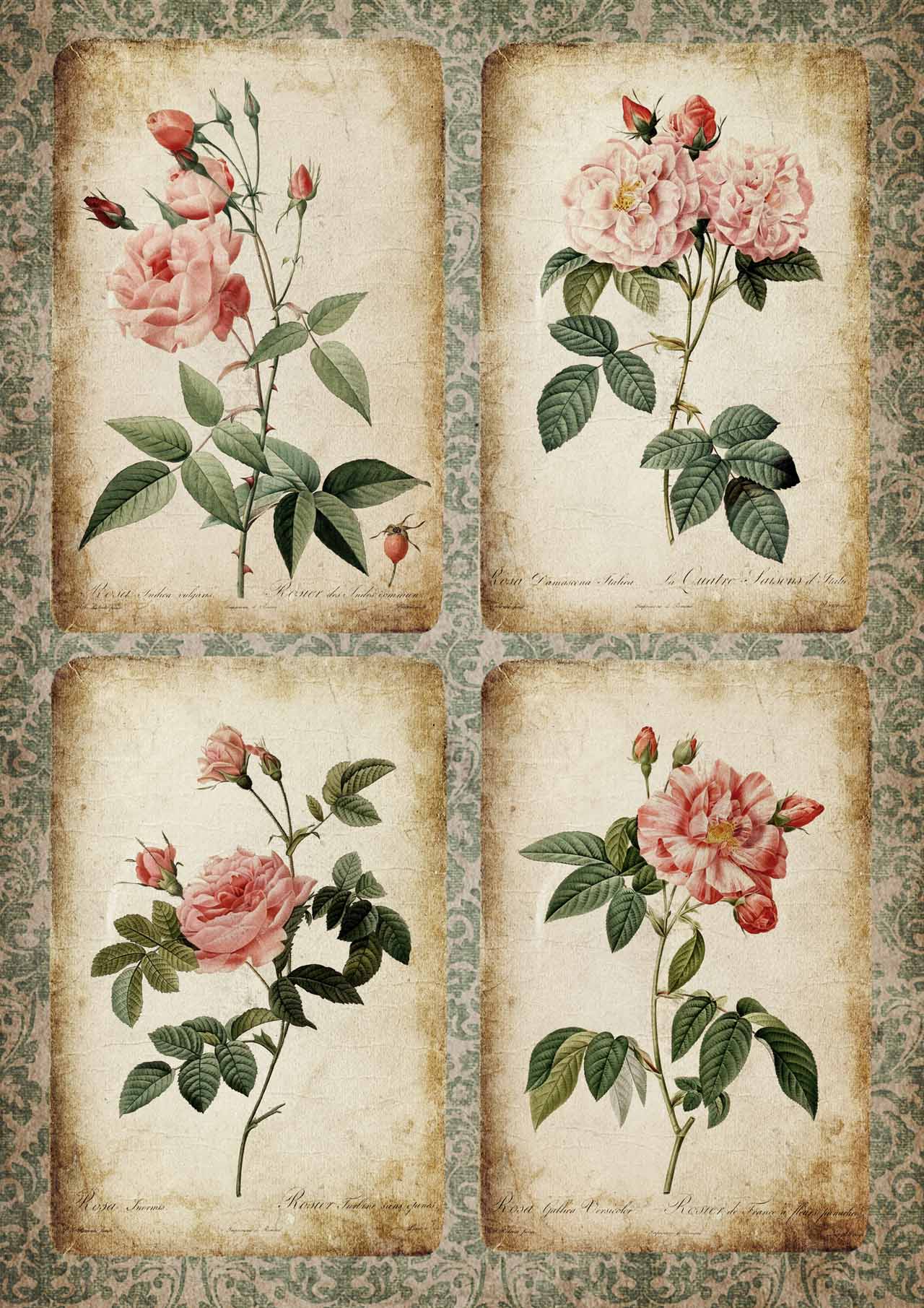 Paper Designs Holiday 0111 A4 8.3" x 11.7" - Image 2