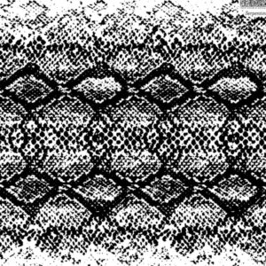 Serpentine 12×12 IOD Stamp™