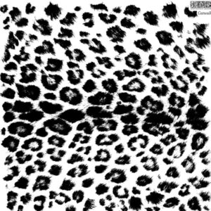 Catwalk 12×12 IOD Stamp™