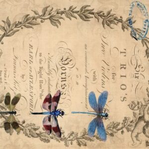 Dragonflies Decoupage Tissue Paper