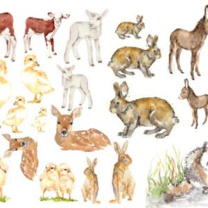 Baby Animals by Lexi Grenzer Decoupage Tissue Paper