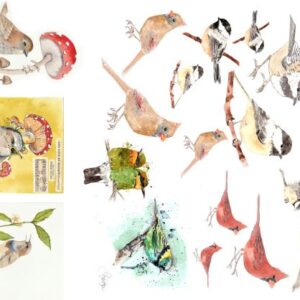 Catalog of Birds by Lexi Grenzer Decoupage Tissue Paper