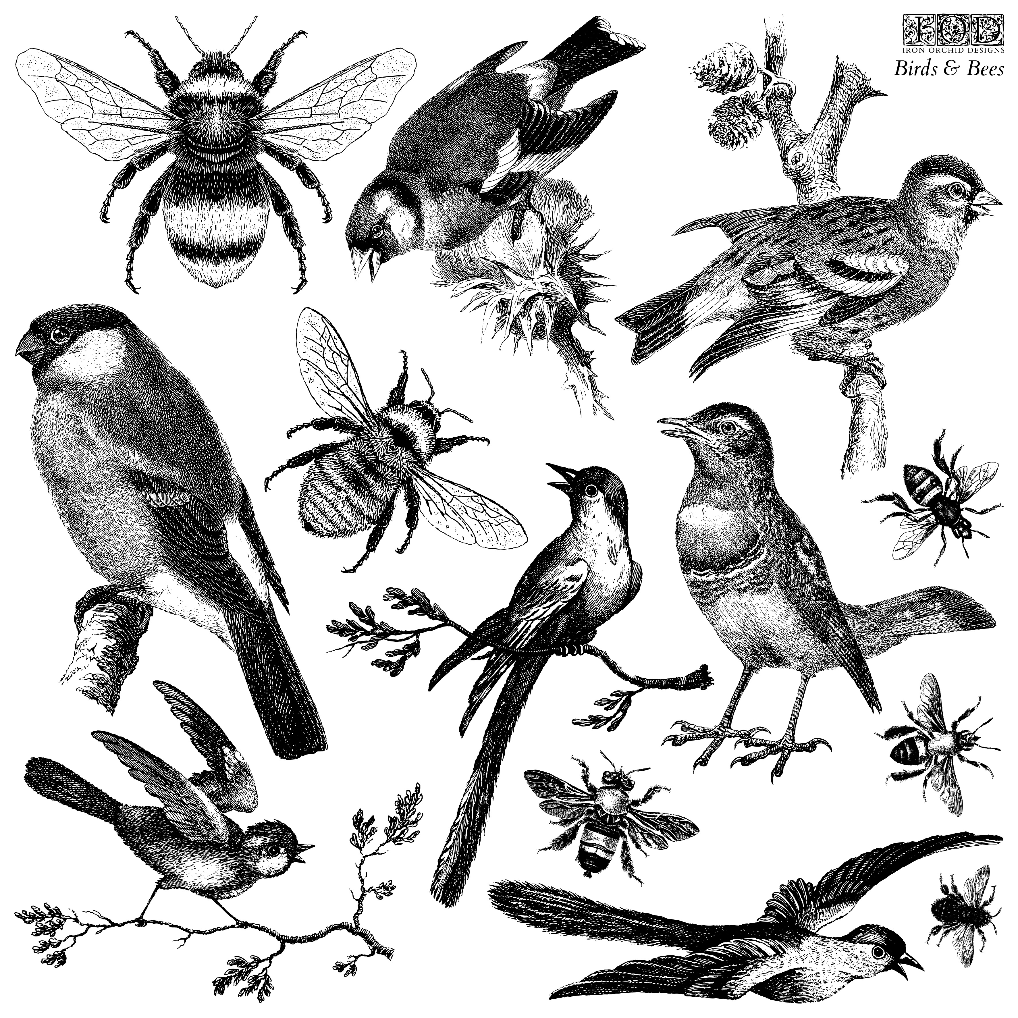 Birds and Bees 12×12 IOD Stamp™
