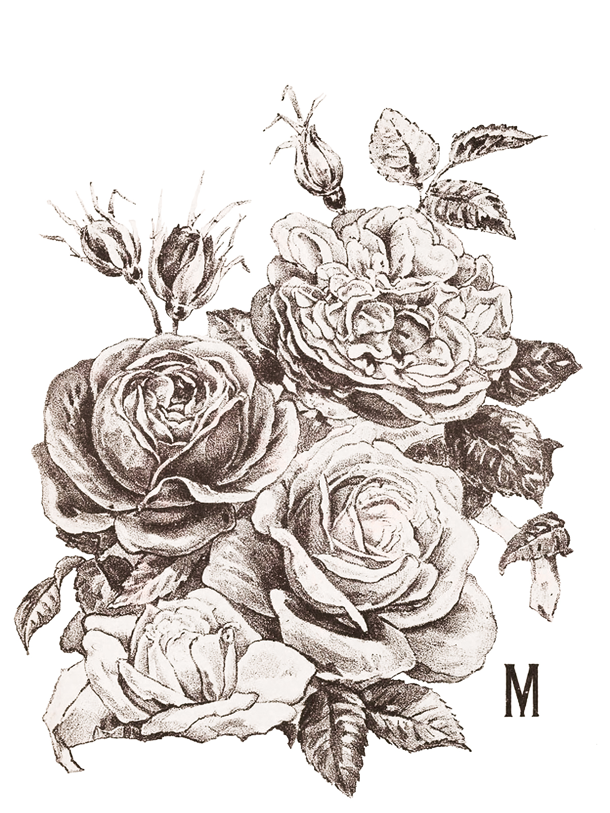 May's Roses IOD Transfer 12x16 Pad - Image 3