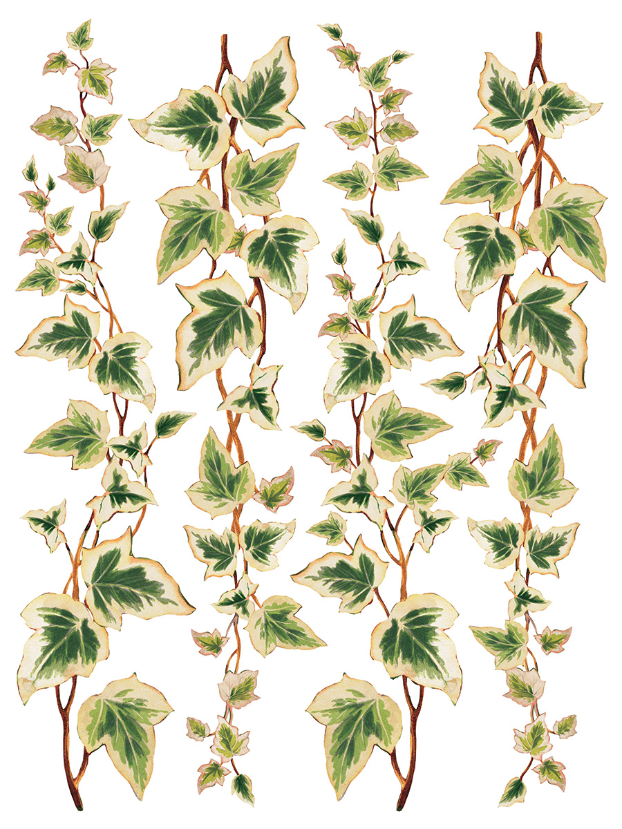 Collage de Fleurs IOD Stamp - Image 4