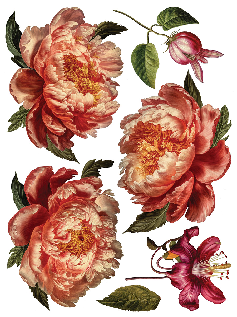 Collage de Fleurs IOD Stamp - Image 9
