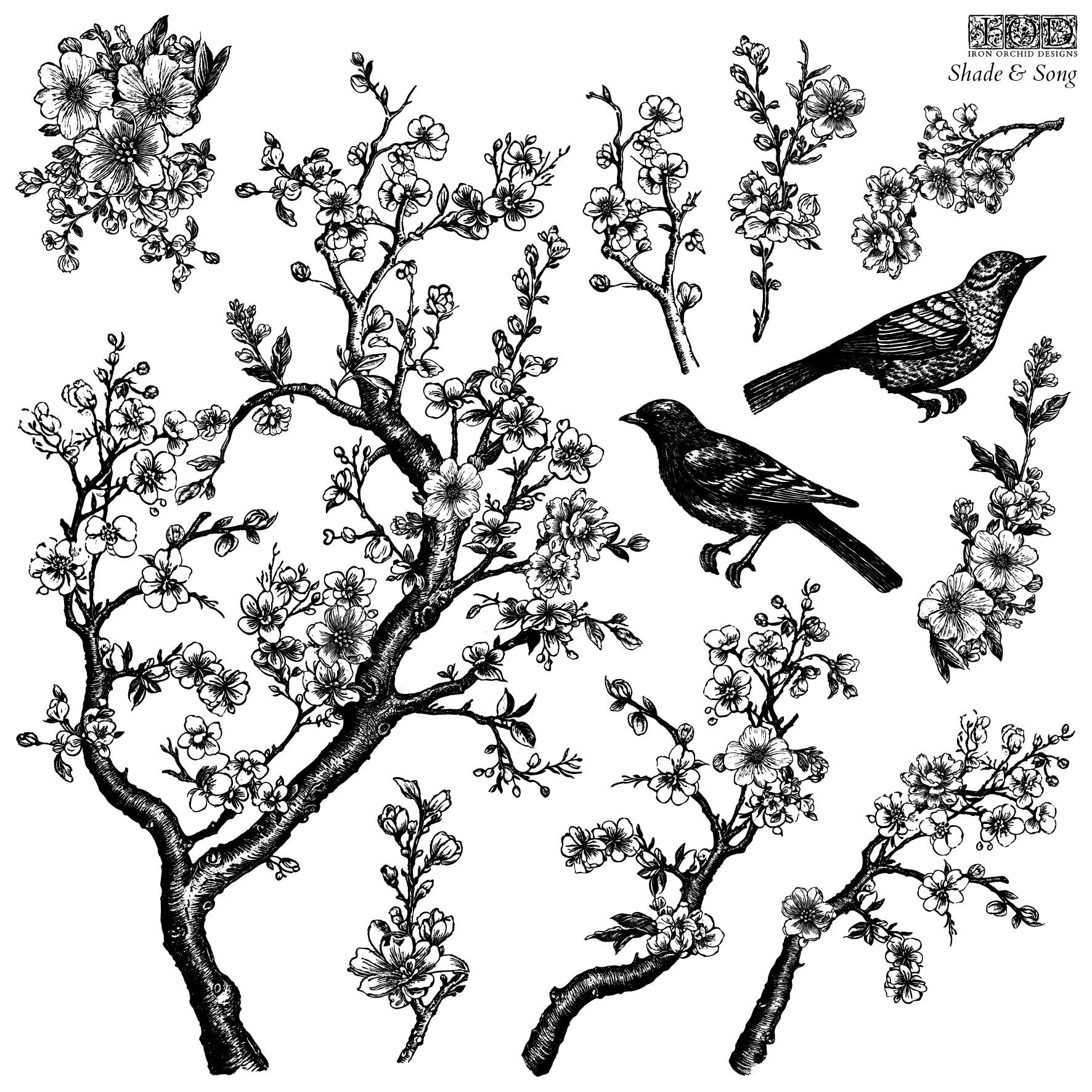 Shade & Song 12 x 12 IOD Stamp
