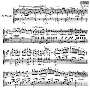 The Waltz 12x12 IOD Stamp™