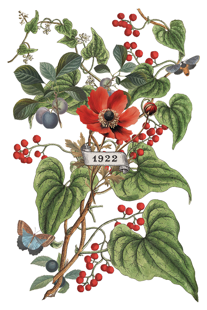 Clementine IOD Transfer 8x12 Pad™ - Image 8