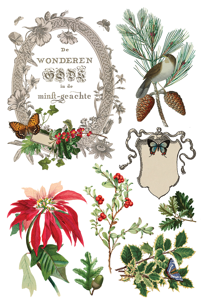 Winter Botanist IOD Transfer 8x12 Pad™ - Image 4