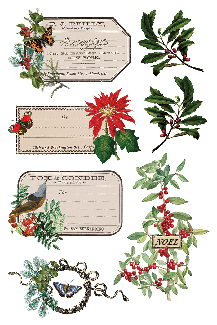 Winter Botanist IOD Transfer 8x12 Pad™ - Image 6