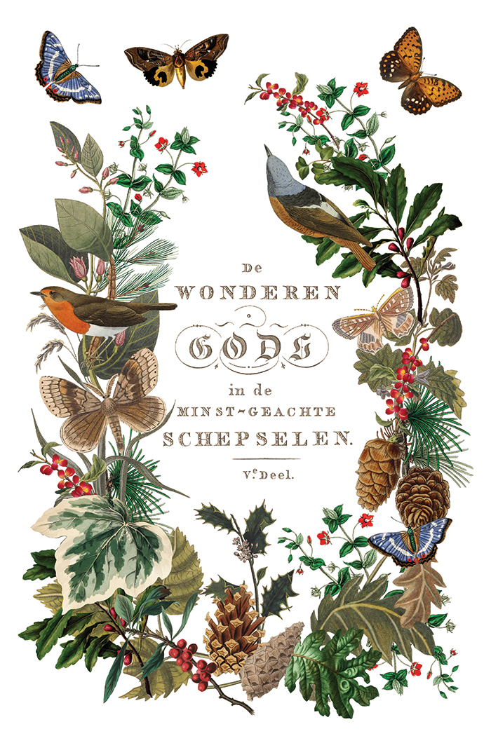 Winter Botanist IOD Transfer 8x12 Pad™ - Image 7