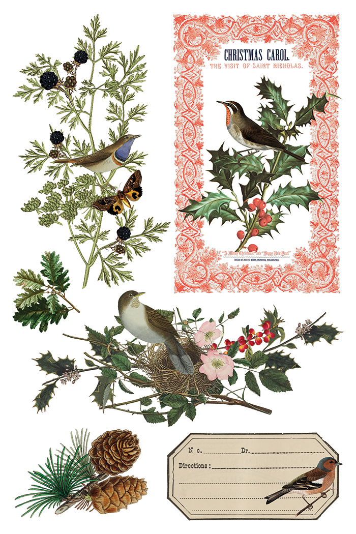 Winter Botanist IOD Transfer 8x12 Pad™ - Image 13