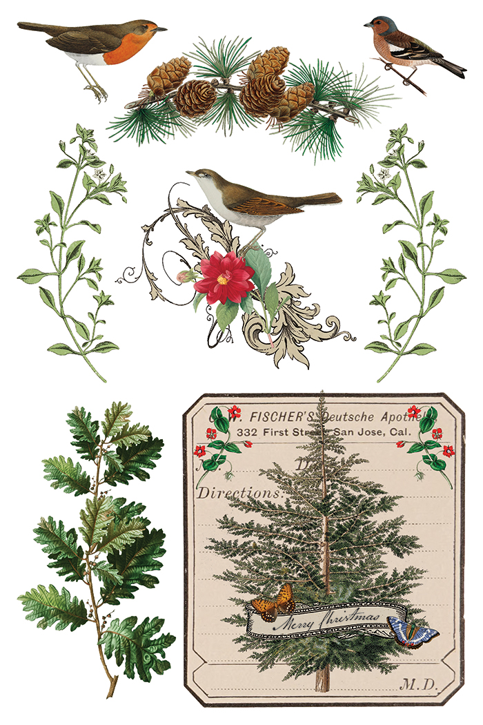 Winter Botanist IOD Transfer 8x12 Pad™ - Image 9