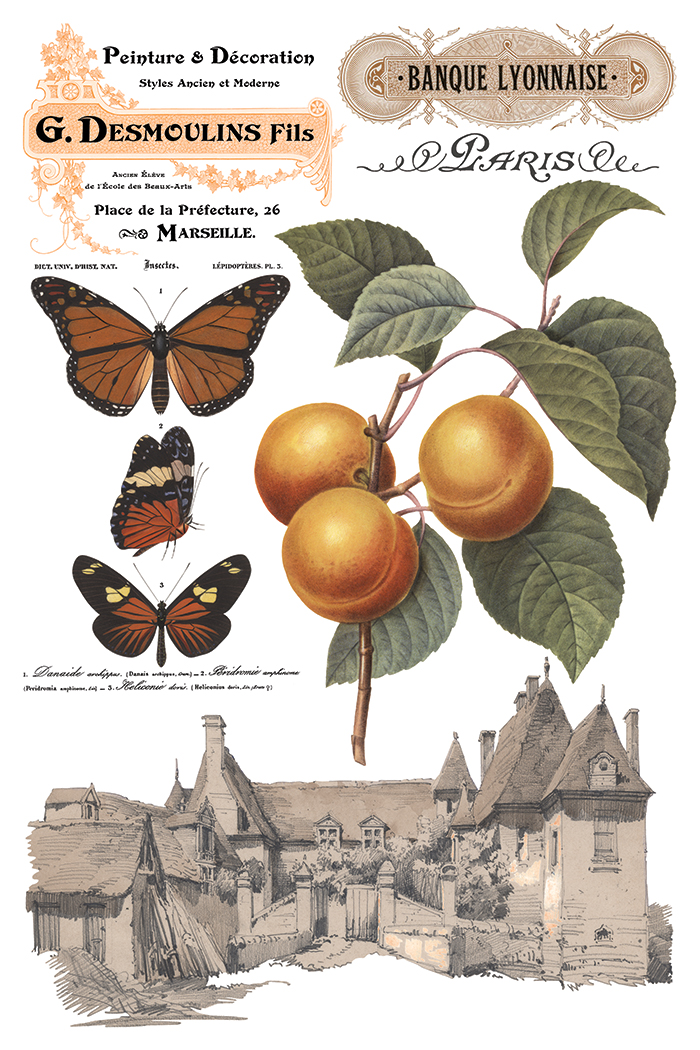 Saint Ouen IOD Transfer 8x12 Pad™ - Image 6